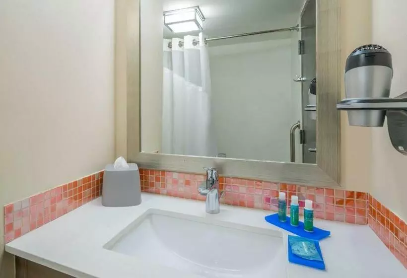 اتاق استاندارد, Holiday Inn Express & Suites Nassau, An Ihg