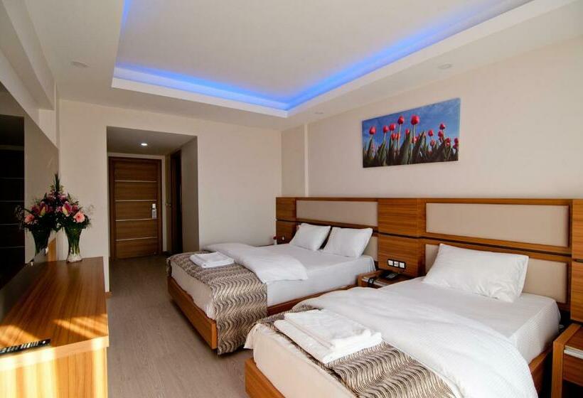 اتاق استاندارد با چشمانداز کوهستان, Mus Grand