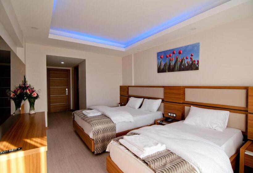 اتاق استاندارد سه نفره, Mus Grand