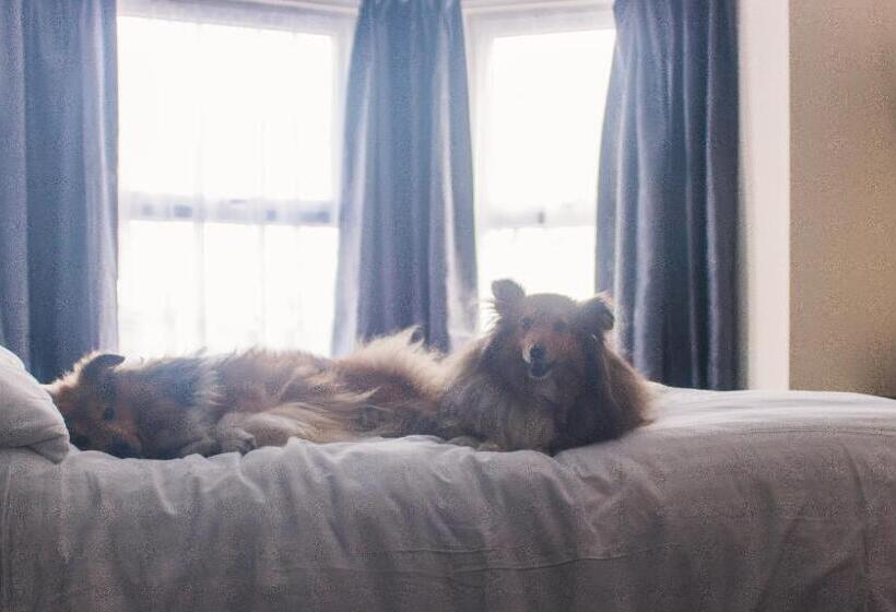 חדר משפתחתי סופריור, Wellesley Park