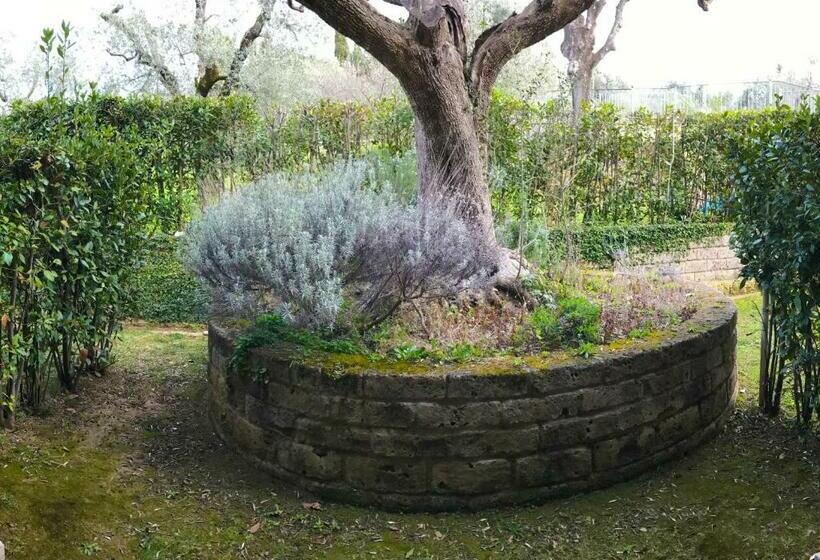 スタンダード４人部屋, Zì Martino