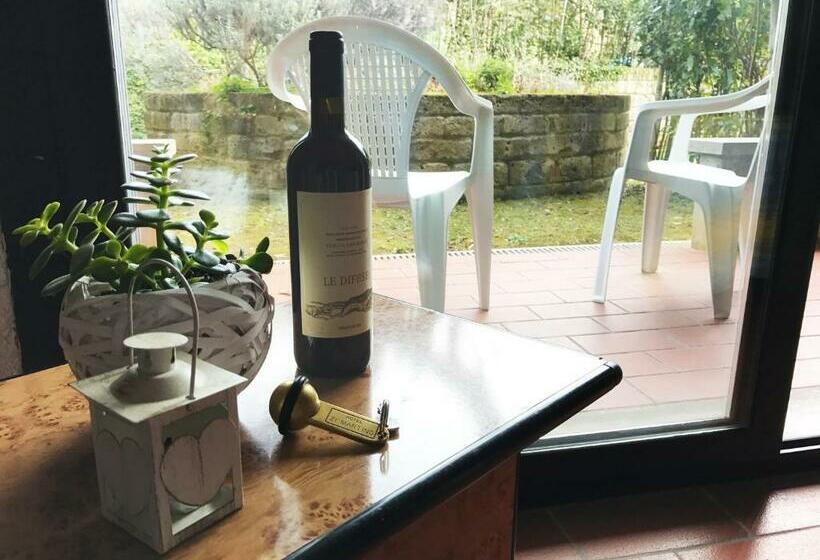 スタンダードルーム, Zì Martino