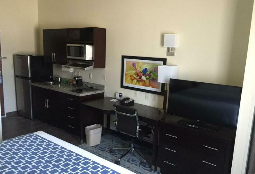 غرفة قياسية, Suburban Studios Donaldsonville   Gonzales