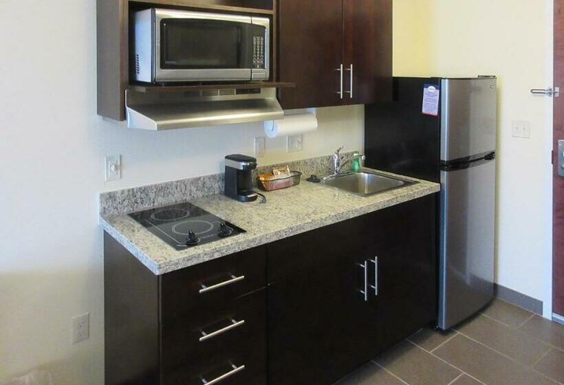 غرفة قياسية سرير ملكى لذوى الإحتياجات الخاصة, Suburban Studios Donaldsonville   Gonzales