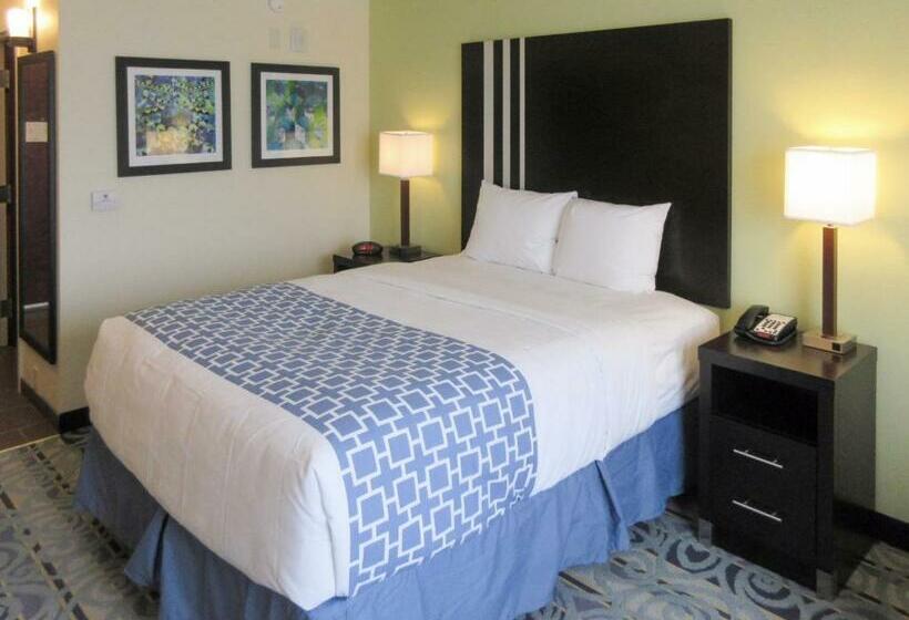 غرفة قياسية سرير ملكى لذوى الإحتياجات الخاصة, Suburban Studios Donaldsonville   Gonzales