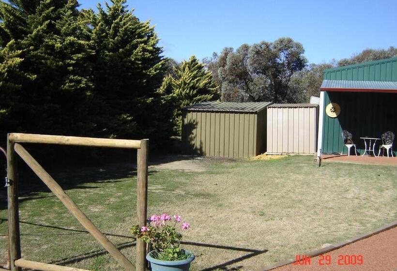 غرفة قياسية فردية, York S Boutique Motel