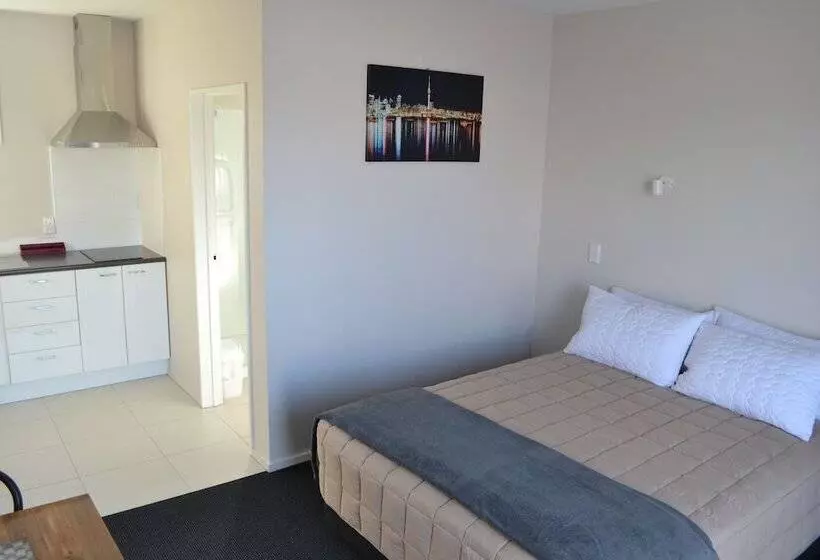 ダブルベッドのスタンダードスタジオ, 319 Addington Motel
