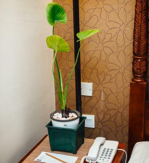 Pokój Executive, Darul Makmur