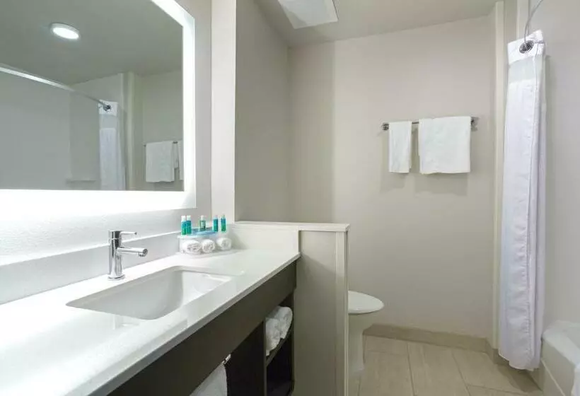 スタンダードルーム, Holiday Inn Express & Suites Lincoln I   80, An Ihg