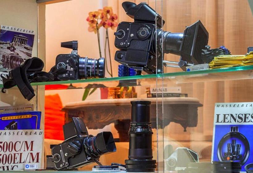 جناح ديلوكس, In Camera Art Boutique