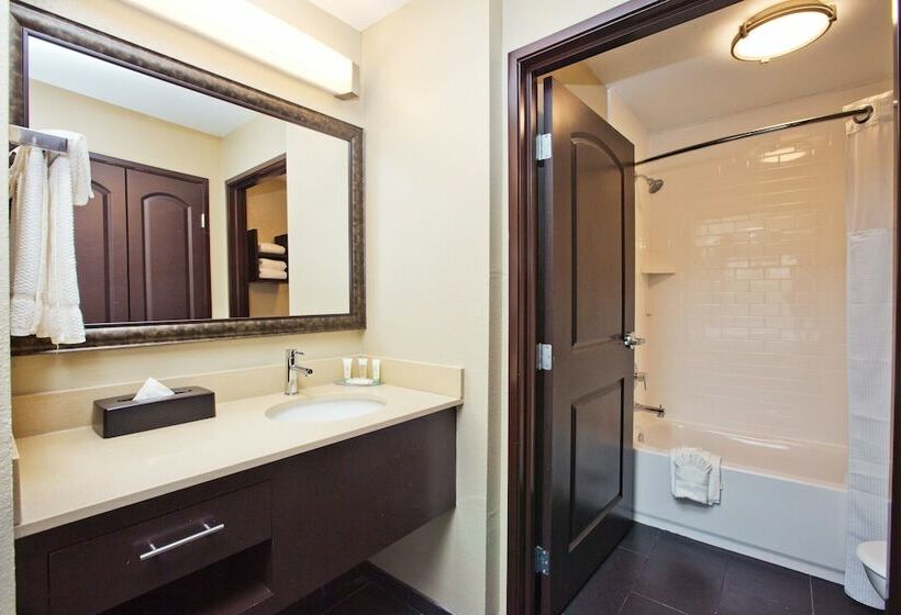 标准工作室, Staybridge Suites Austin South Interstate Hwy 35, An Ihg