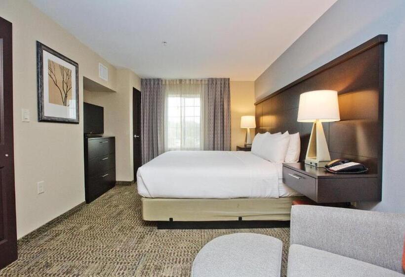 带大床的套房, Staybridge Suites Austin South Interstate Hwy 35, An Ihg