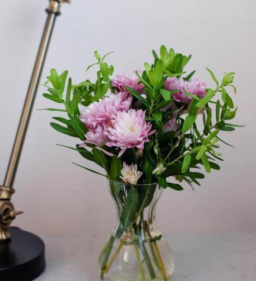 스탠다드 싱글 룸, Whispering Oaks Guest House