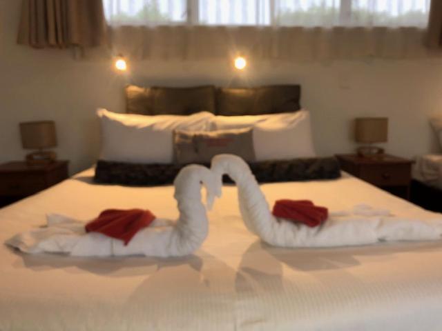 标准工作室, Coachman Motel