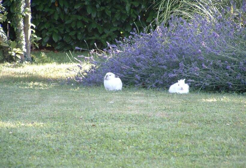 带花园景观的标准三人间, Agriturismo Ai Carpini