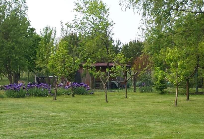 带花园景观的古典房间, Agriturismo Ai Carpini