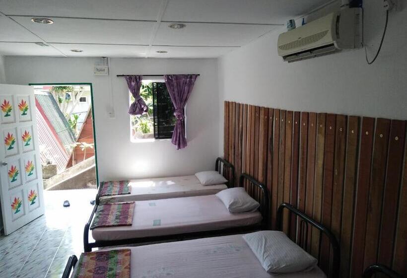 Camera Familiare, Nazri Nipah Camp