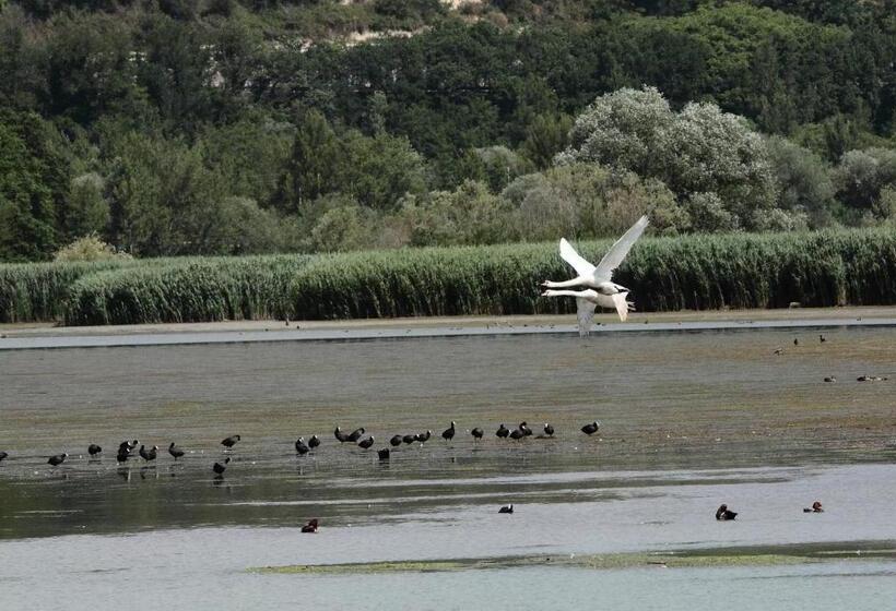 דירת חדר, Podere Calledro