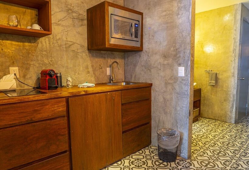 Deluxe-studio Merinäkymä, Suites At Sapphire Ocean Club