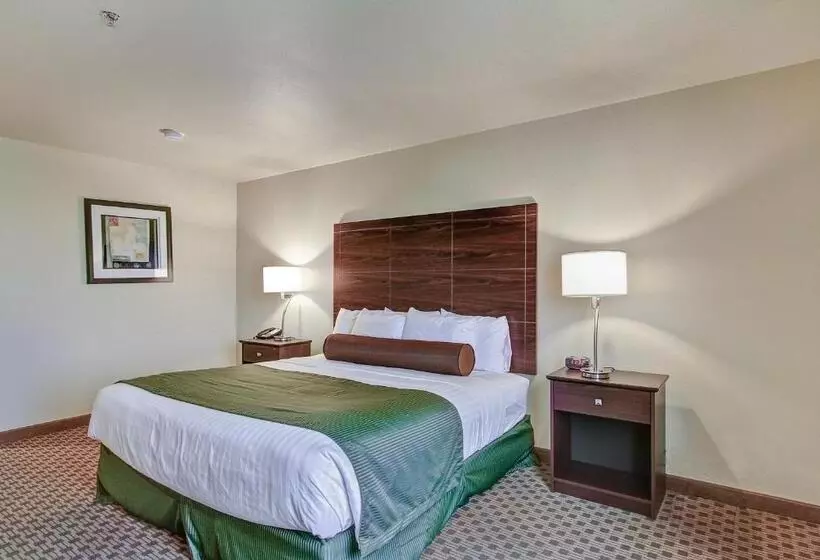 身障者適用キングサイズベッドルーム, Cobblestone Hotel & Suites Pulaski/green Bay