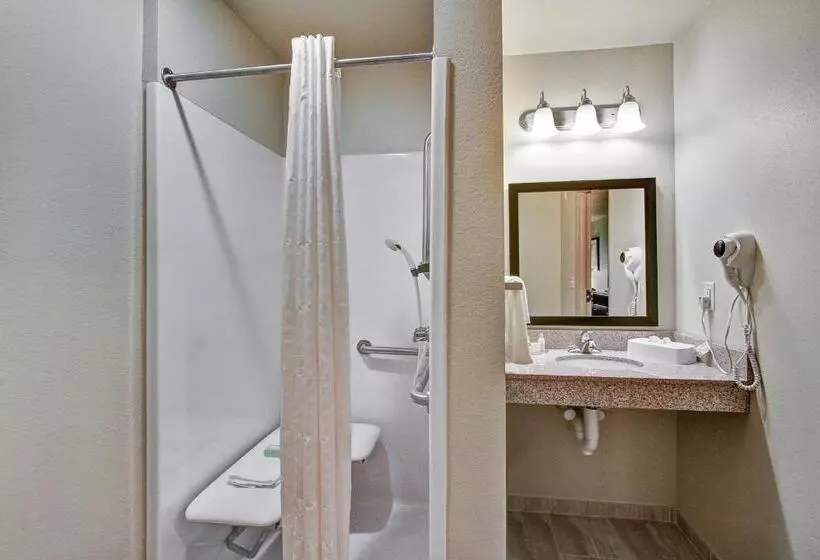 スタンダードスタジオ, Cobblestone Hotel & Suites Pulaski/green Bay