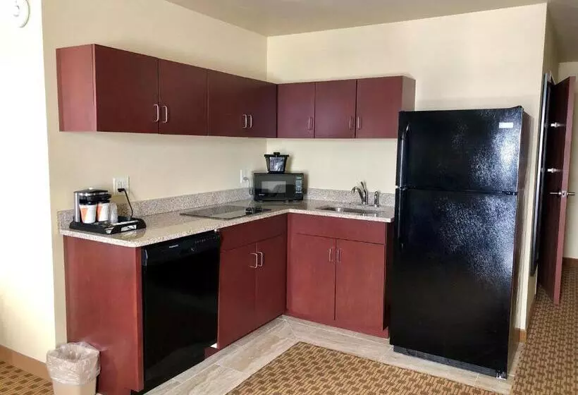スタンダードスタジオ, Cobblestone Hotel & Suites Pulaski/green Bay
