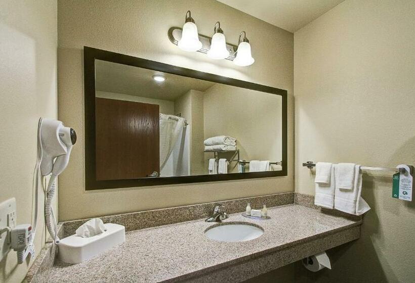 豪华房间, Cobblestone Hotel & Suites Pulaski/green Bay