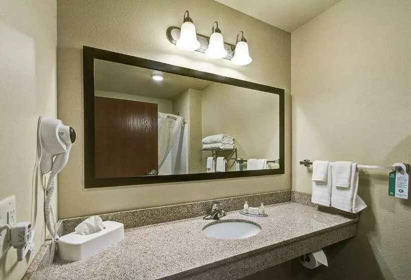キングサイズベッドのデラックスルーム, Cobblestone Hotel & Suites Pulaski/green Bay