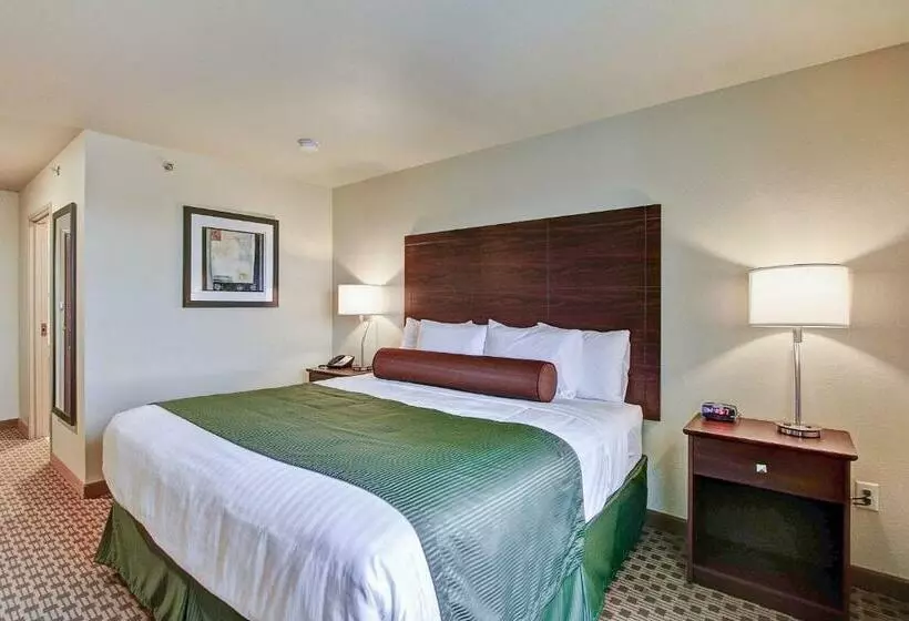 キングサイズベッドのデラックスルーム, Cobblestone Hotel & Suites Pulaski/green Bay
