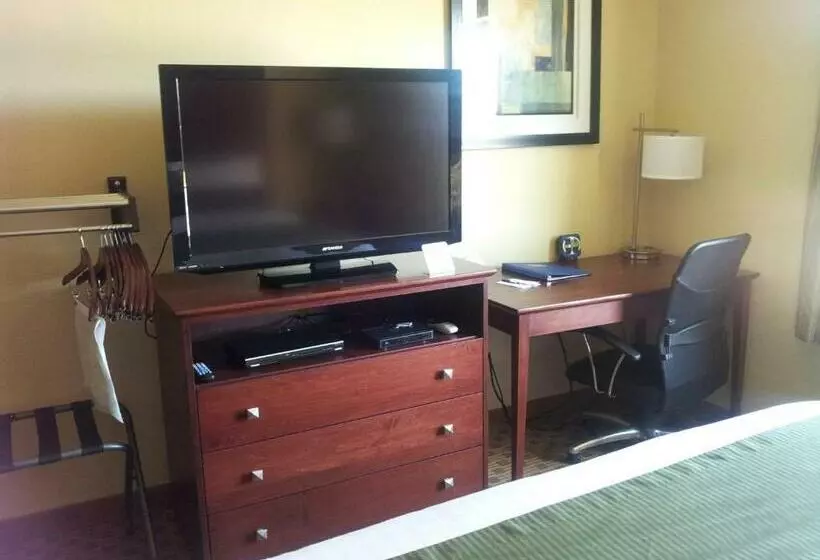 キングサイズベッドのスタンダードルーム, Cobblestone Inn & Suites  Hartington