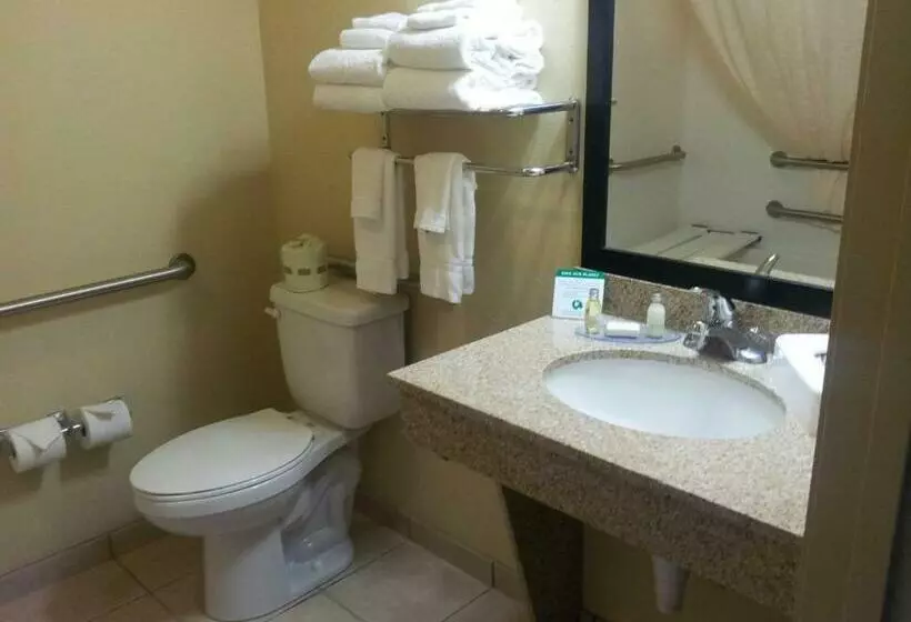 キングサイズベッドのスタンダードルーム, Cobblestone Inn & Suites  Hartington