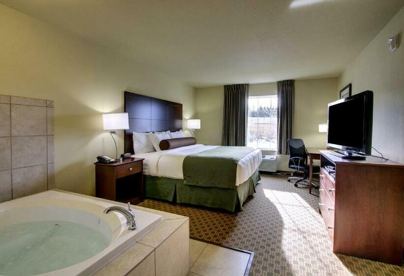 غرفة قياسية سرير كينج, Cobblestone Inn & Suites  Hartington
