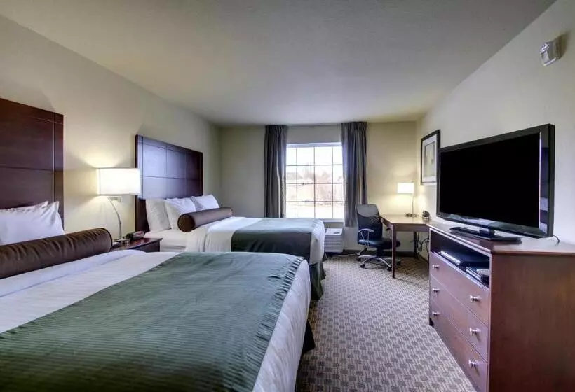 身障者適用スタンダードルーム, Cobblestone Inn & Suites  Hartington