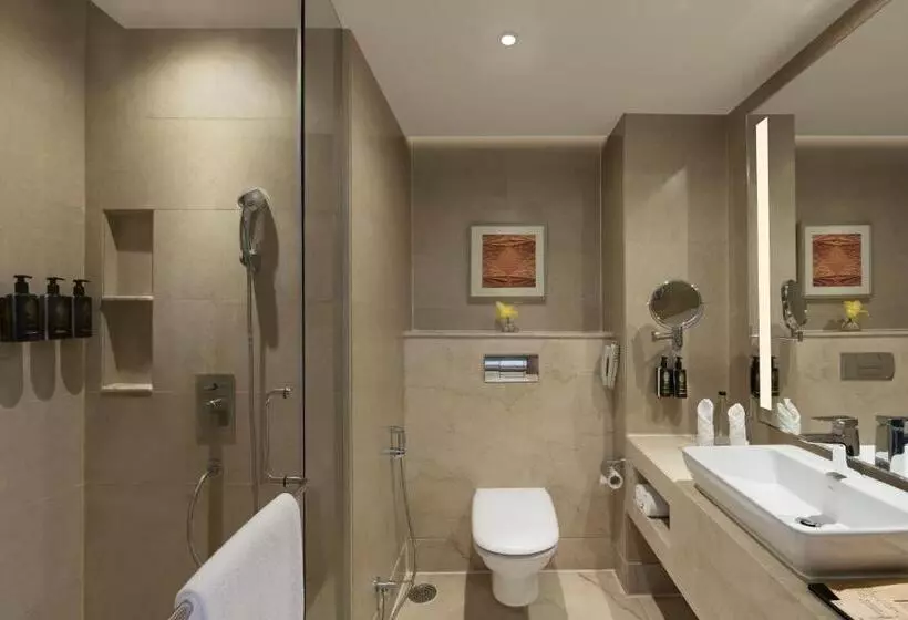 デラックスルーム, Grand Mercure Agra