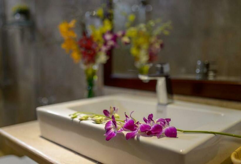 اتاق سوپریور, Iris