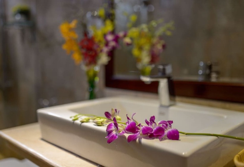 اتاق خانوادگی, Iris