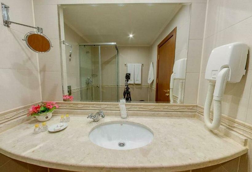 חדר אקונומי, Mistral