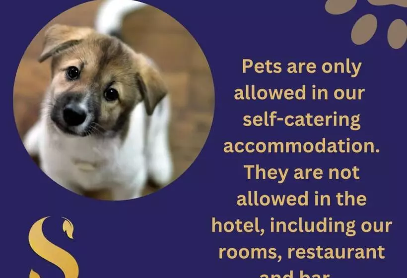 キングサイズベッドのスタンダードルーム, Saplinbrae Hotel And Lodges