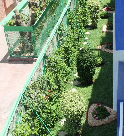 标准房带园景, Sindibad