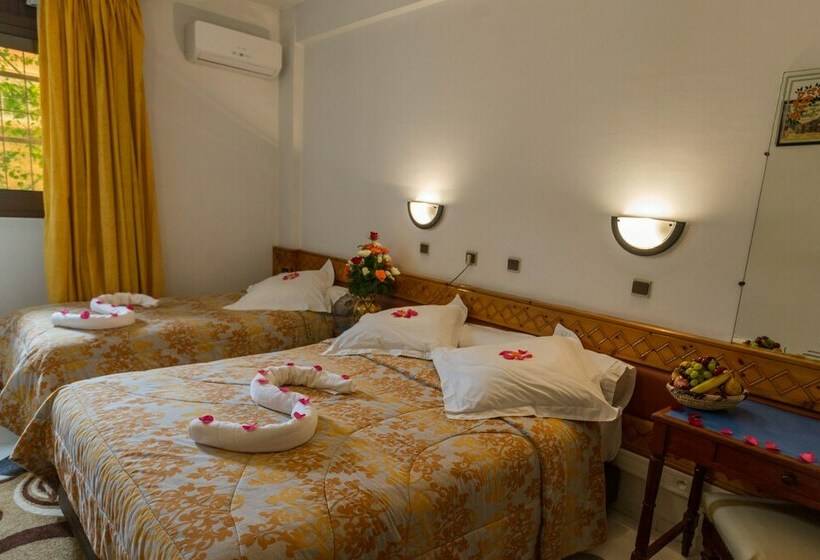 标准房带园景, Sindibad