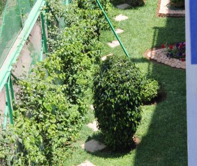 标准房带园景, Sindibad