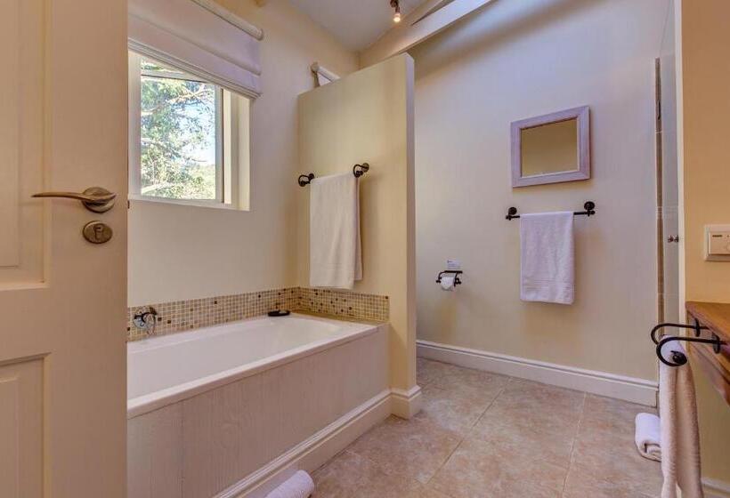 חדר סטנדרט, Amanzi Island Boutique