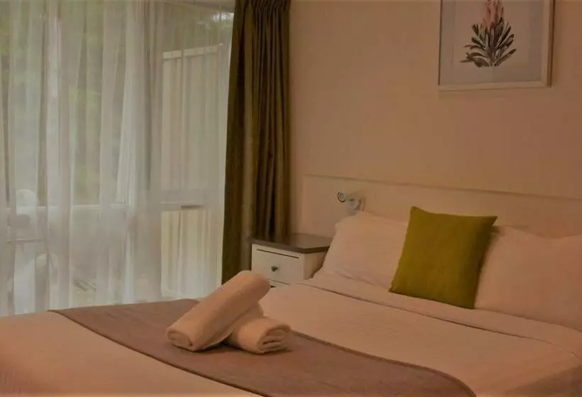 スタンダードルーム, Sanctuary House Resort Motel