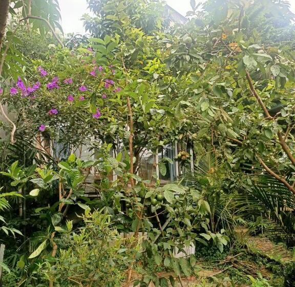 Standard-huone, Hostel Inn Dalat