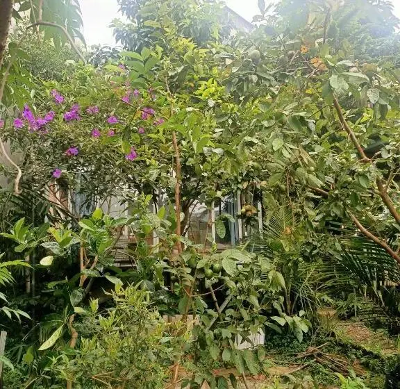 اتاق استاندارد, Hostel Inn Dalat
