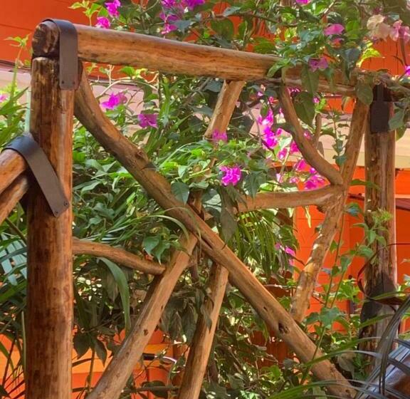 标准间, Beach Front Bahia