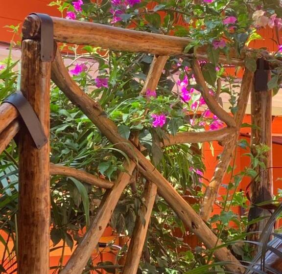 标准三人间, Beach Front Bahia