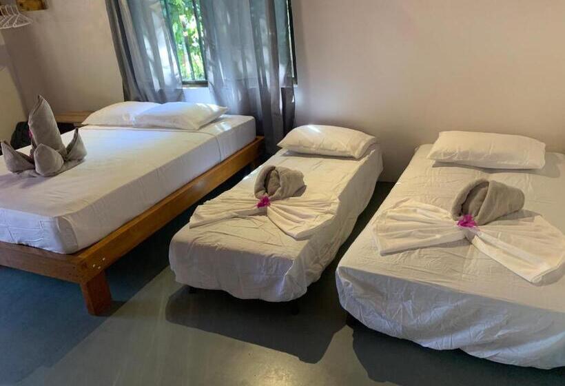 四人标准间, Beach Front Bahia