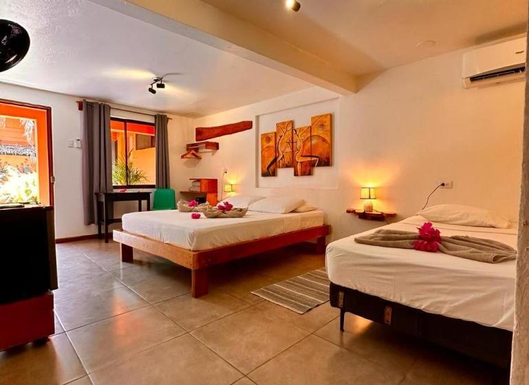 四人标准间, Beach Front Bahia