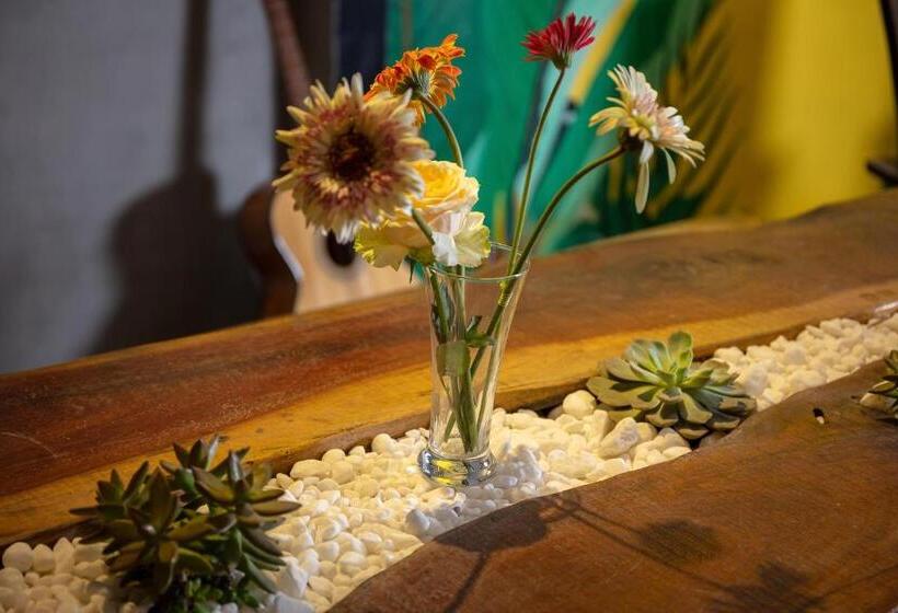 تختخواب در اتاق مشترک, Tam Coc Brothers Homestay   Ninh Bình